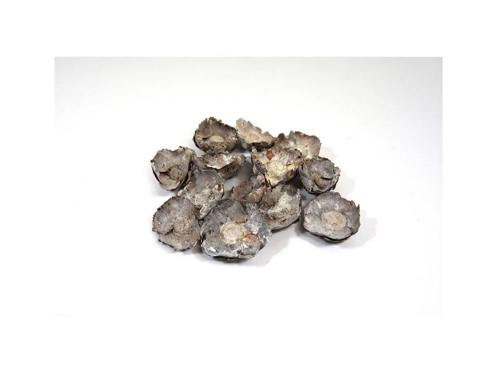 RESCoco cap vintage S35