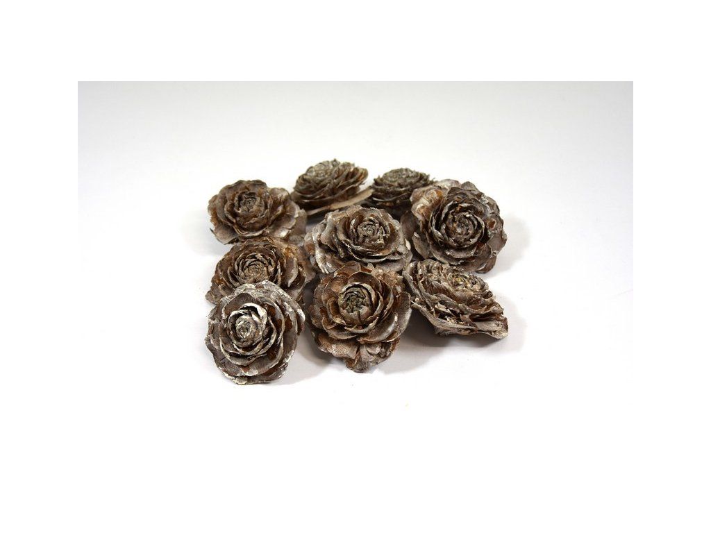 RESCedar rose S40 Vintage VN