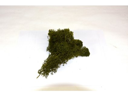 RESmach polar olivovy