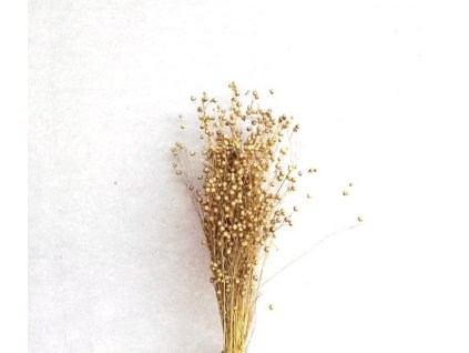 REStishi grass natur