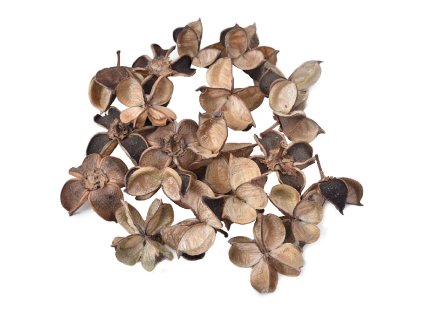 *Cotton flower natur 200g