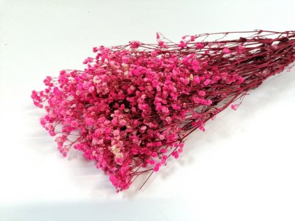 RESgypsofila ruzova 1