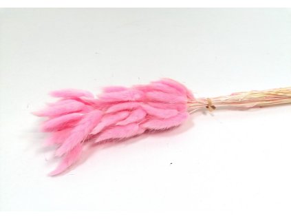 RESlagurus sv.ruzovy 1