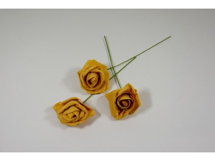 Ruža 7 cm, S/24 natur
