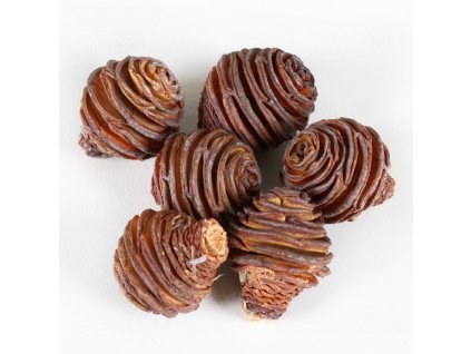 *Platyspermum M 300 g natur