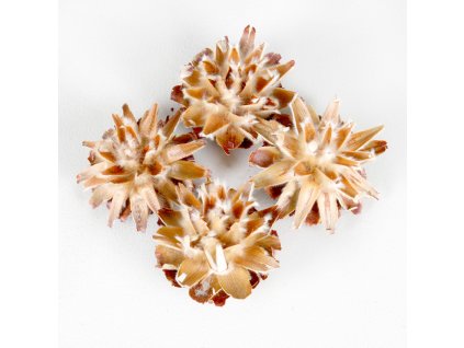 *Plumosum M 200 g natur