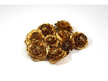 RESCedar rose zlata S20