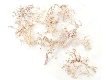 *Tiny skeleton 150 g biela