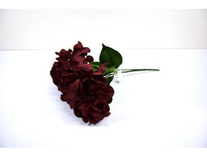 RESHortenzia 5 hlav bordo