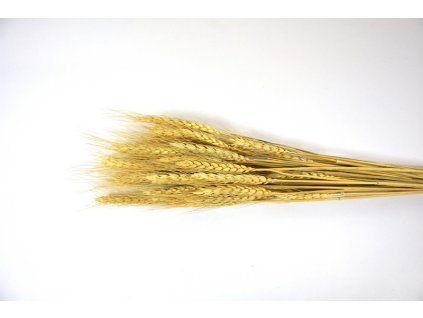 RESTriticum natur