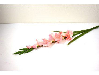 RESGladiolus 90cm ruzovy