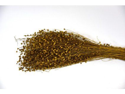 RESTishi grass zlta 200g