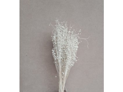 REStishi grass biela