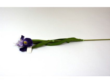 RESIris fialovy 55cm