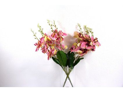 RESOrchidea 58cm ruzova mix