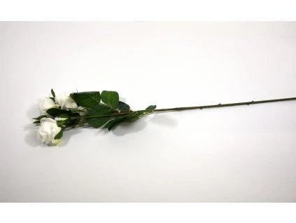 RESRuzicky biele 61cm