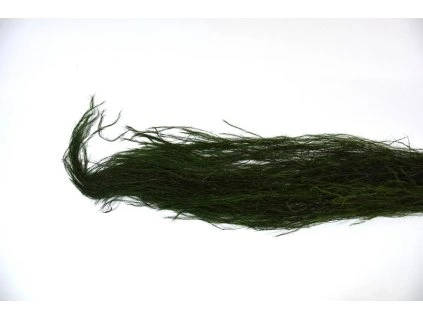 RESDracia brada oliva 100g