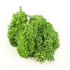 *Mach Polar 150 g tm. zelená Leaf Green