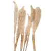 *Palm jhar S/8 biely