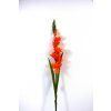RESGladiolus 90cm oranz 1