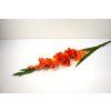 RESGladiolus 90cm oranz