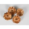 R 10SBL Repens 6 7cm Rosette Brown Loose