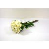 RESRuza kyt. 50cm biela