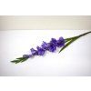 RESGladiolus 90cm fialovy