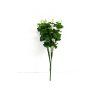 RESUmely eukalyptus 50cm tm.zeleny 1