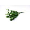 RESUmely eukalyptus 50cm tm.zeleny
