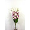 RESOrchidea 58cm fialova 1