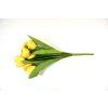RESKyt. tulip 42cm 7hl. zlta