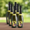 76 spumante costaross party boy 6 x 0 75l cely karton serena wines (2)