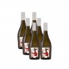 Frizzante Costaross Winter Boy | 6 x 0,75l | Celý karton | Serena Wines