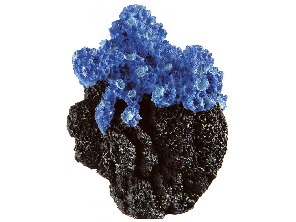 4764 ferplast akvarijni dekorace koral modry