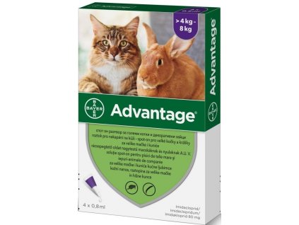Advantage spot-on mačka 4kg a viac (fialový)