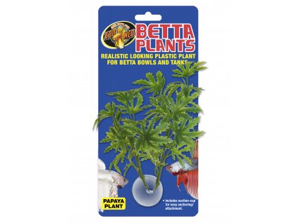 13380 betta plant papaja