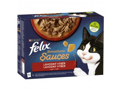 Kapsička FELIX Sensations Souce multipack výber mäsa 12 x 85g
