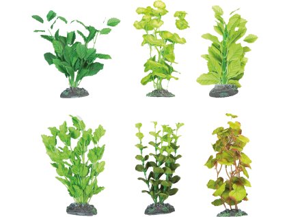 FLAMINGO  akváriové rastliny mix  BRASIL L