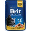 Kapsička Brit Cat Premium Pouches losos + pstruh 100g