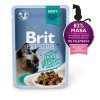 Kapsička Brit Premium Cat Delicate Fillets in Gravy with Beef 85 g