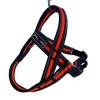 Postroj Gimborn Mesh Y 3,2x85 88-110cm oranžový