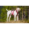 I-Dog Comfort Trek postroj, červený M