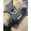I-Dog Upka Style postroj, sivý XS