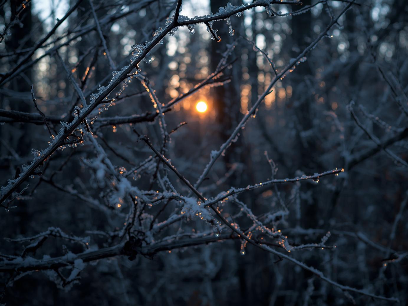 Velký přehled na rok 2026 - astrologie, astronomie