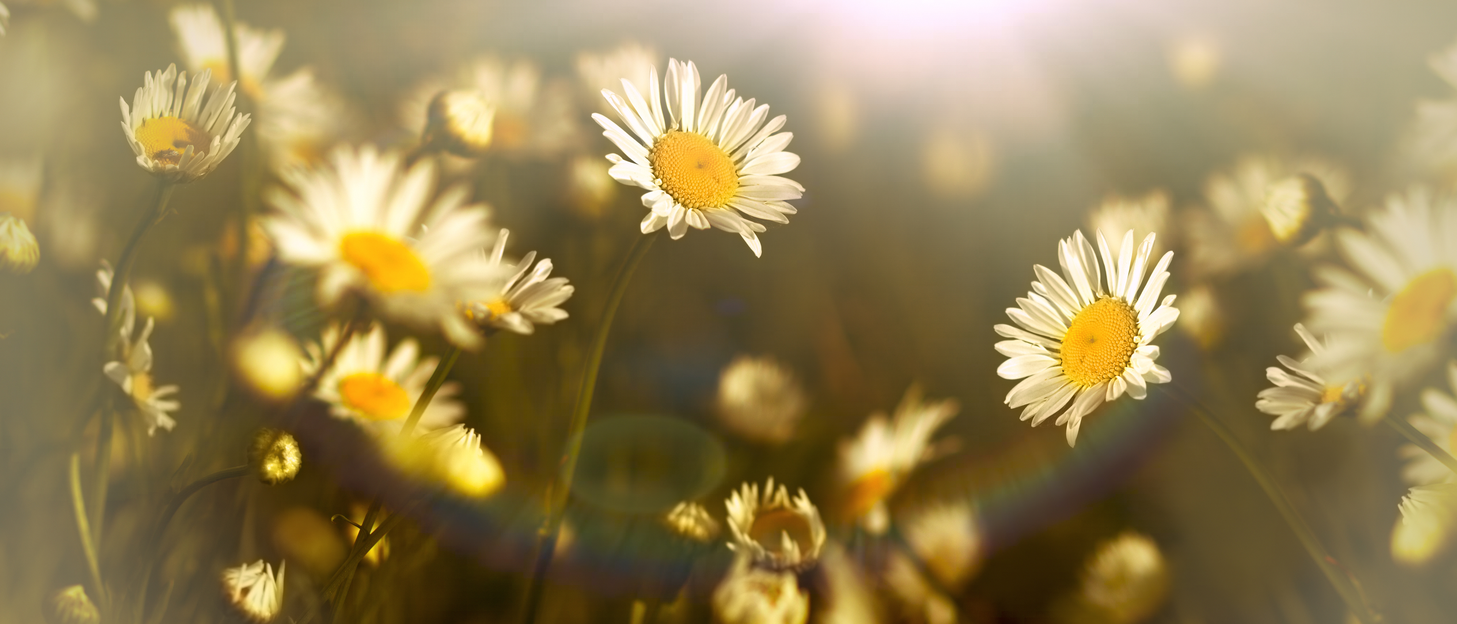 AdobeStock_123452748