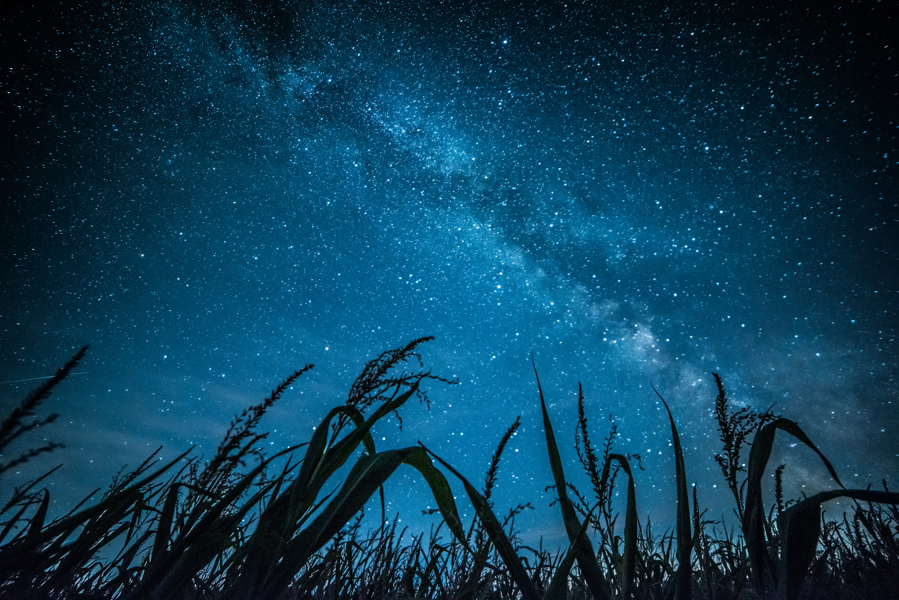AdobeStock_199050913