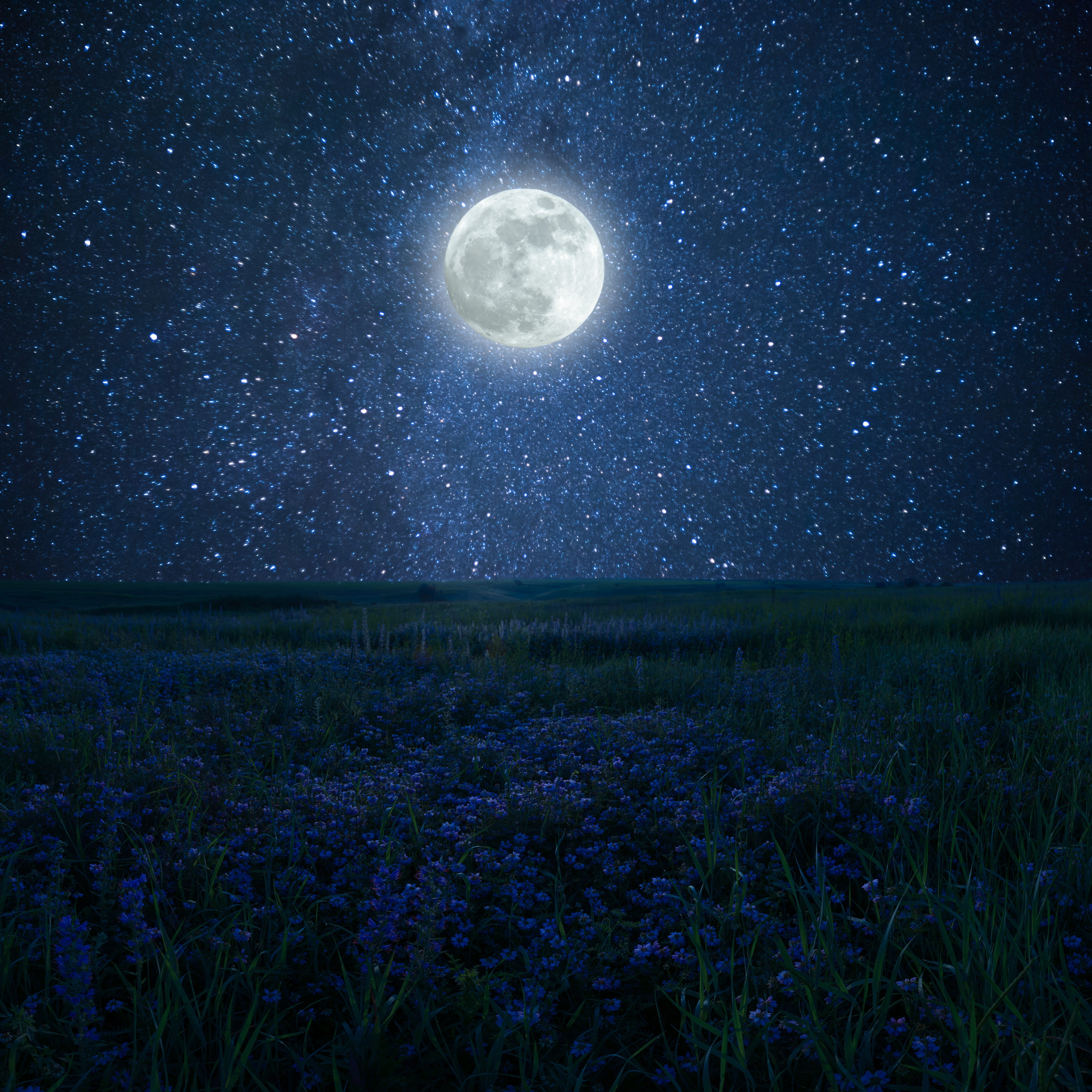 AdobeStock_261301887