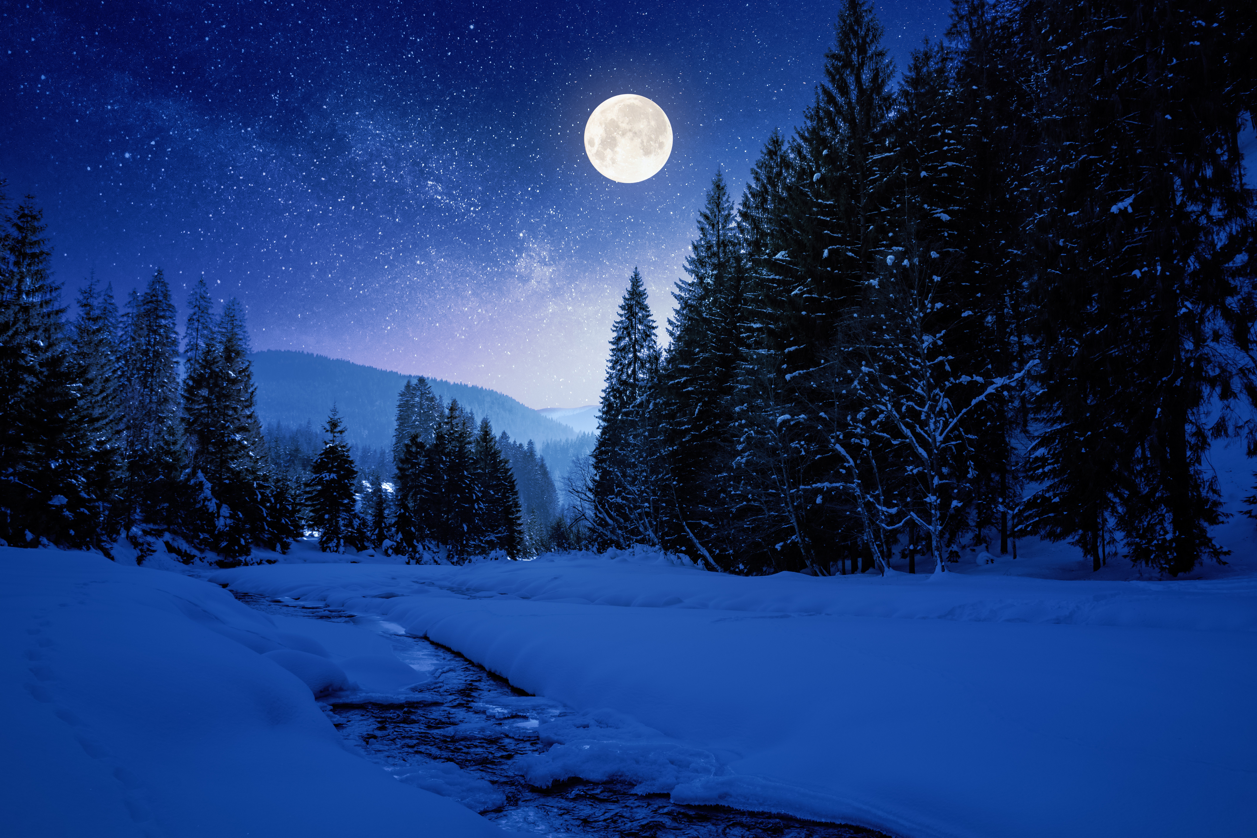 AdobeStock_311014452