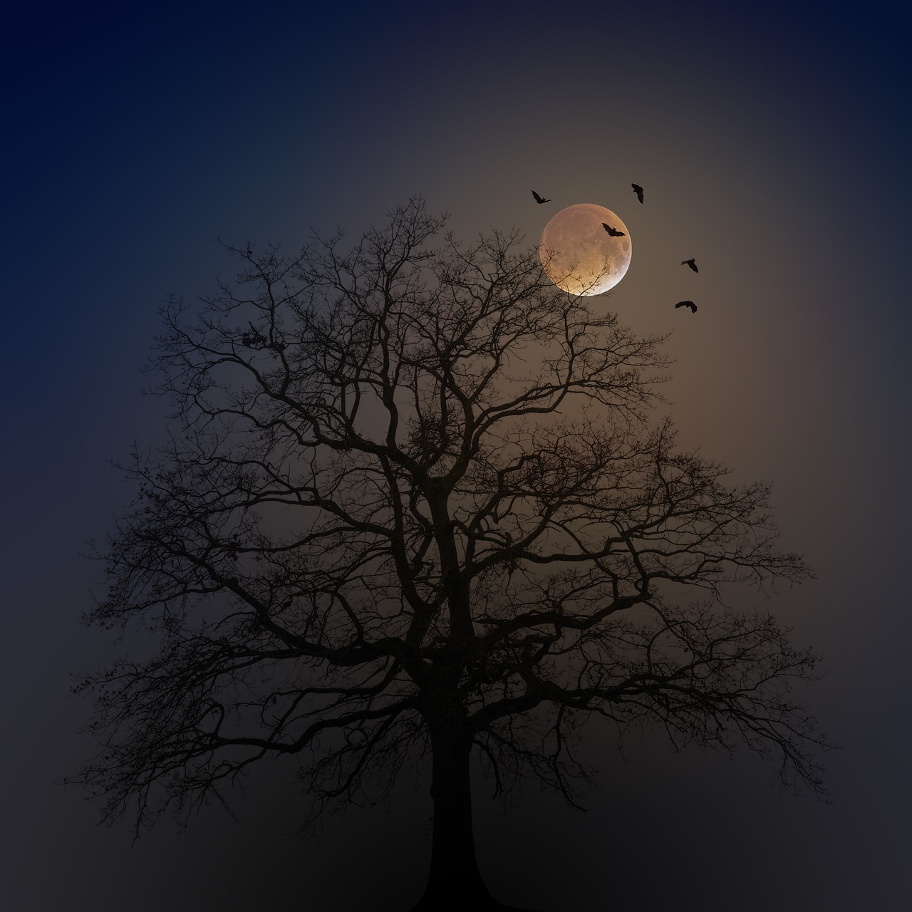 halloween-4582988_1280